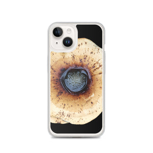 iPhone Case | Honey Fungus, Armillaria by Matteo
