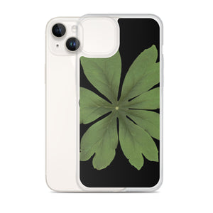 iPhone Case | Mayapple, Podophyllum by Matteo