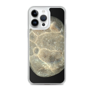 iPhone Case | Petoskey Stone by Matteo