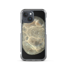Load image into Gallery viewer, iPhone Case | Petoskey Stone by Matteo
