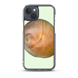iPhone Case | Moon Snail Shell Shark's Eye Apical | Sea Glass Background