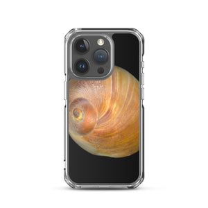 iPhone Case | Moon Snail Shell Shark's Eye Apical | Black Background