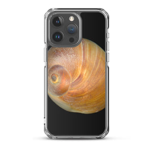 iPhone Case | Moon Snail Shell Shark's Eye Apical | Black Background