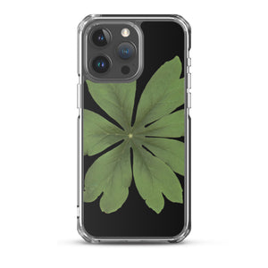 iPhone Case | Mayapple, Podophyllum by Matteo