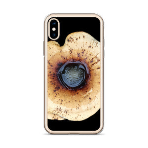 iPhone Case | Honey Fungus, Armillaria by Matteo