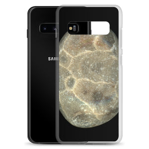 Samsung Case | Petoskey Stone by Matteo