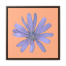 Load image into Gallery viewer, Chicory Flower Blue | Framed Canvas | Peach Background
