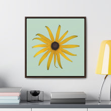 Load image into Gallery viewer, Black-eyed Susan Rudbeckia Flower Yellow | Framed Canvas | Sage Background
