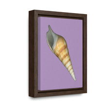 Load image into Gallery viewer, Turrid Shell Tan Apertural | Framed Canvas | Lavender Background

