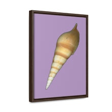 Load image into Gallery viewer, Turrid Shell Tan Dorsal | Framed Canvas | Lavender Background
