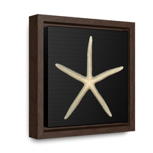 Load image into Gallery viewer, Finger Starfish Shell Top | Framed Canvas | Black Background
