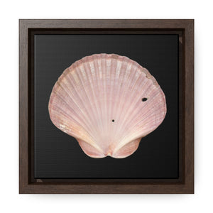 Scallop Shell Magenta Left Interior | Framed Canvas | Black Background