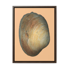 Load image into Gallery viewer, Quahog Clam Shell Purple Right Exterior | Framed Canvas | Desert Tan Background
