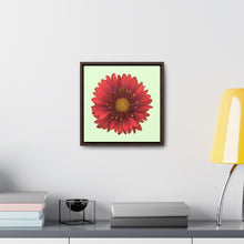 Load image into Gallery viewer, Blanket Flower Gaillardia Red | Framed Canvas | Sea Glass Background
