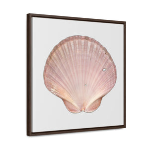 Scallop Shell Magenta Left Interior | Framed Canvas | Silver Background