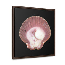 Load image into Gallery viewer, Scallop Shell Magenta Left Exterior | Framed Canvas | Black Background

