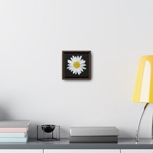 Load image into Gallery viewer, Shasta Daisy Flower White | Framed Canvas | Black Background

