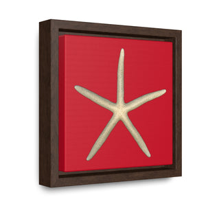 Finger Starfish Shell Top | Framed Canvas | Red Background