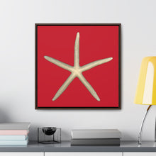 Load image into Gallery viewer, Finger Starfish Shell Top | Framed Canvas | Red Background
