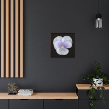 Load image into Gallery viewer, Pansy Viola Flower Lavender | Framed Canvas | Black Background
