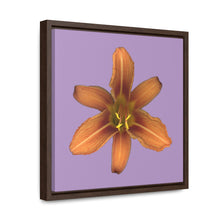 Load image into Gallery viewer, Orange Daylily Flower | Framed Canvas | Lavender Background
