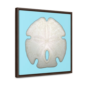 Arrowhead Sand Dollar Shell Top | Framed Canvas | Sky Blue Background