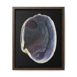 Quahog Clam Shell Purple Right Interior | Framed Canvas | Black Background