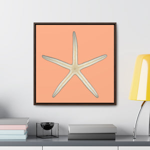 Finger Starfish Shell Bottom | Framed Canvas | Peach Background
