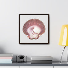 Load image into Gallery viewer, Scallop Shell Magenta Left Exterior | Framed Canvas | Silver Background
