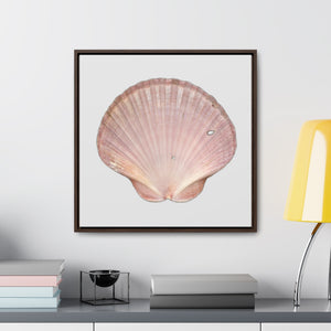 Scallop Shell Magenta Left Interior | Framed Canvas | Silver Background