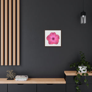 Phlox Flower Detail Pink | Framed Canvas | Silver Background