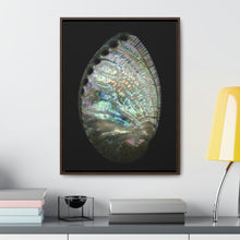 Load image into Gallery viewer, Abalone Shell Exterior | Framed Canvas | Black Background
