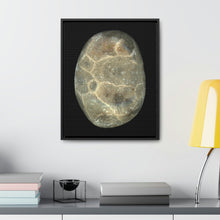 Load image into Gallery viewer, Petoskey Stone by Matteo | Framed Wrap Canvas | Black Background
