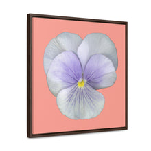 Load image into Gallery viewer, Pansy Viola Flower Lavender | Framed Canvas | Flamingo Pink Background
