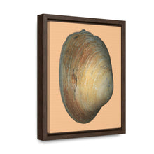 Load image into Gallery viewer, Quahog Clam Shell Purple Right Exterior | Framed Canvas | Desert Tan Background
