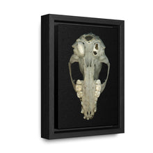 Load image into Gallery viewer, Raccoon Skull Inferior by Matteo | Framed Wrap Canvas | Black Background
