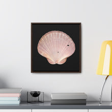 Load image into Gallery viewer, Scallop Shell Magenta Left Interior | Framed Canvas | Black Background

