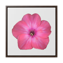 Load image into Gallery viewer, Phlox Flower Detail Pink | Framed Canvas | Silver Background

