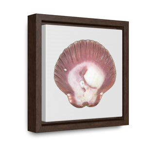 Scallop Shell Magenta Left Exterior | Framed Canvas | Silver Background