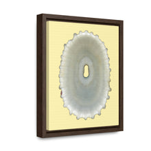 Load image into Gallery viewer, Keyhole Limpet Shell White Interior | Framed Canvas | Sunshine Background
