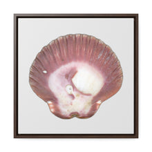Load image into Gallery viewer, Scallop Shell Magenta Left Exterior | Framed Canvas | Silver Background
