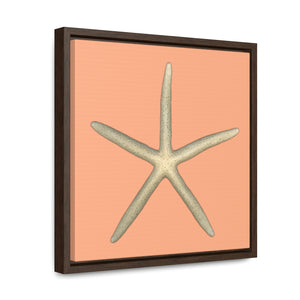 Finger Starfish Shell Top | Framed Canvas | Peach Background