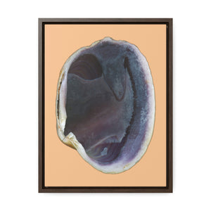 Quahog Clam Shell Purple Right Interior | Framed Canvas | Desert Tan Background
