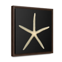 Load image into Gallery viewer, Finger Starfish Shell Top | Framed Canvas | Black Background
