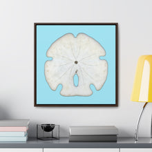 Load image into Gallery viewer, Arrowhead Sand Dollar Shell Bottom | Framed Canvas | Sky Blue Background
