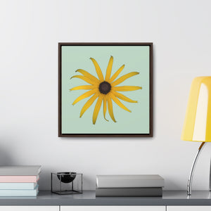 Black-eyed Susan Rudbeckia Flower Yellow | Framed Canvas | Sage Background