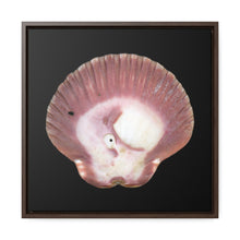 Load image into Gallery viewer, Scallop Shell Magenta Left Exterior | Framed Canvas | Black Background
