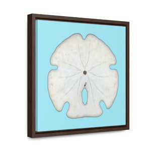 Arrowhead Sand Dollar Shell Bottom | Framed Canvas | Sky Blue Background