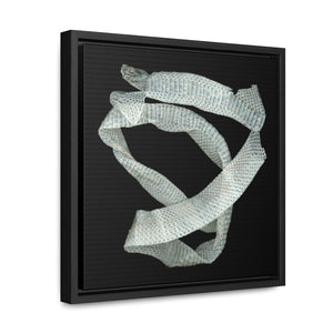Mexican Milk Snake Shed Skin by Matteo | Framed Canvas | Black Background