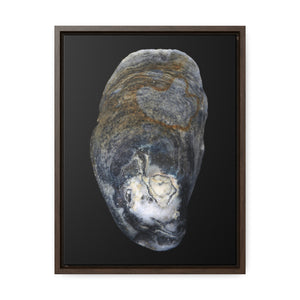 Oyster Shell Blue Right Exterior | Framed Canvas | Black Background
